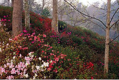 初代NS游戏并非是在任天堂Switch 2主机上原生运行